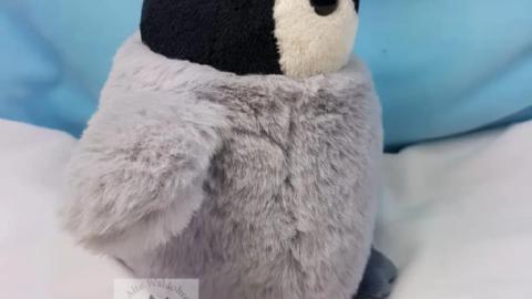 Pinguin Flaupi seitlich