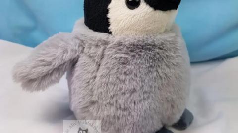 Pinguin Flaupi schräg