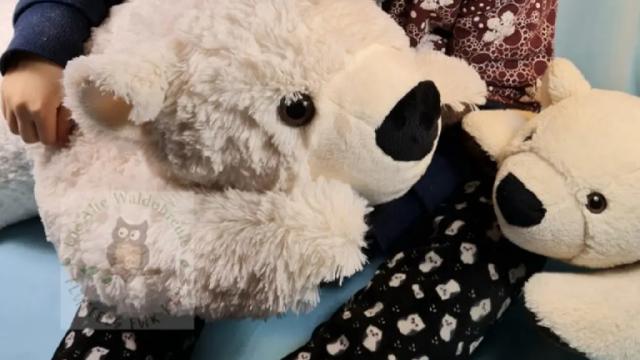 Zwei Eisbär Emils mit einer  jungen Waldohreule